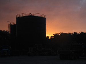 Coopeagropal cooperativa